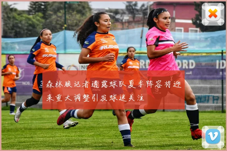 森林狼记者透露球队夏季阵容将迎来重大调整引发球迷关注